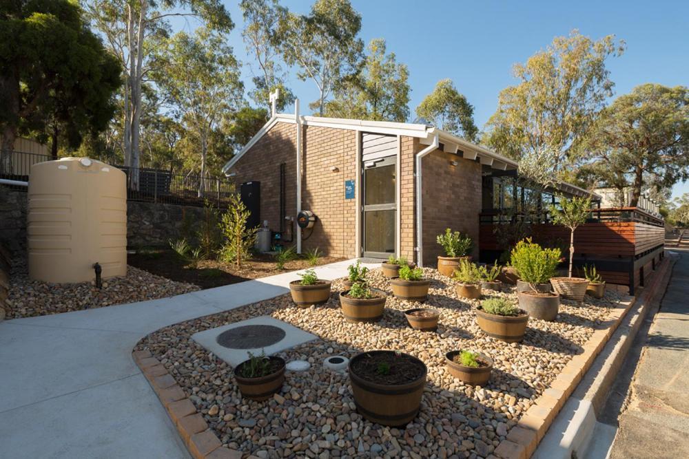 Alivio Tourist Park Canberra Zewnętrze zdjęcie