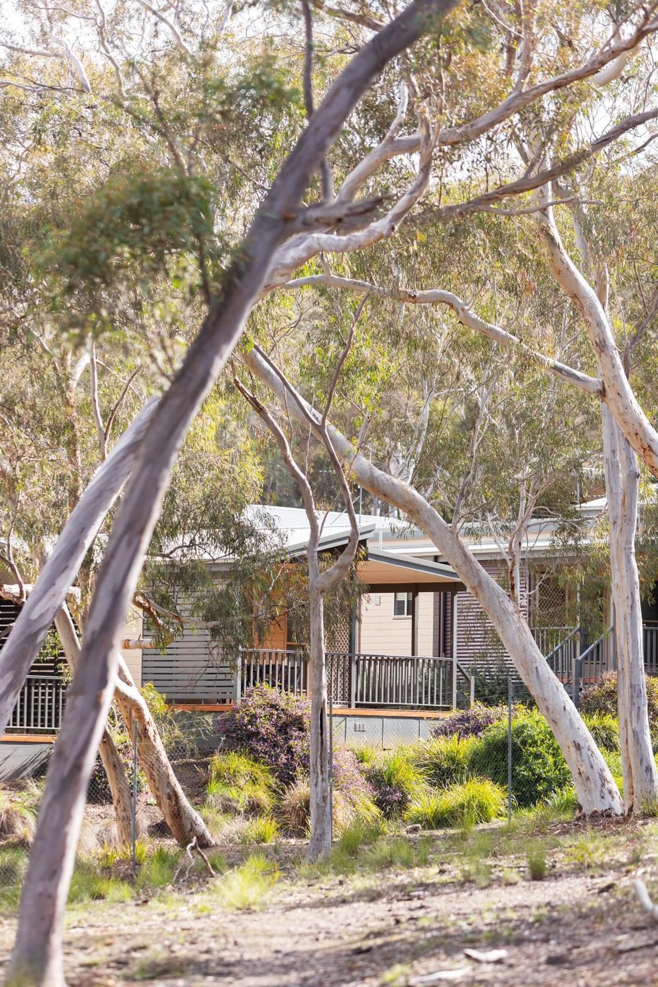 Alivio Tourist Park Canberra Zewnętrze zdjęcie